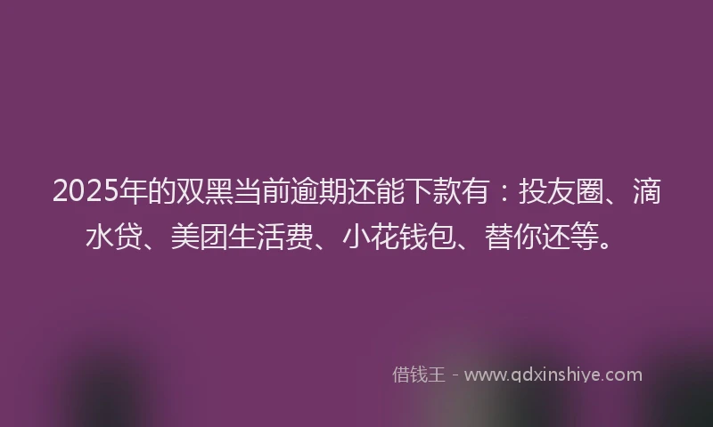 2025年的双黑当前逾期还能下款有：投友圈、滴水贷、美团生活费、小花钱包、替你还等。