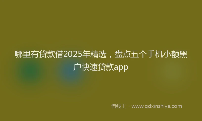 哪里有贷款借2025年精选，盘点五个手机小额黑户快速贷款app