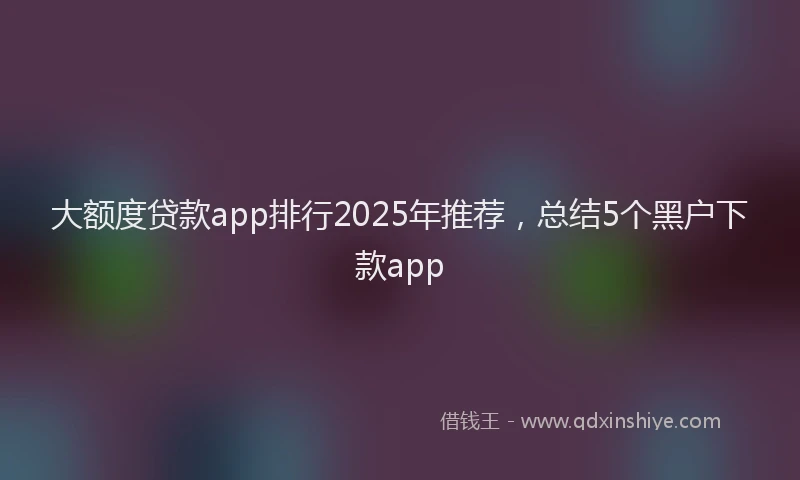 大额度贷款app排行2025年推荐，总结5个黑户下款app