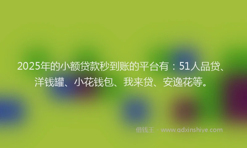 2025年的小额贷款秒到账的平台有：51人品贷、洋钱罐、小花钱包、我来贷、安逸花等。