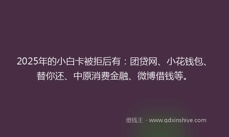2025年的小白卡被拒后有：团贷网、小花钱包、替你还、中原消费金融、微博借钱等。