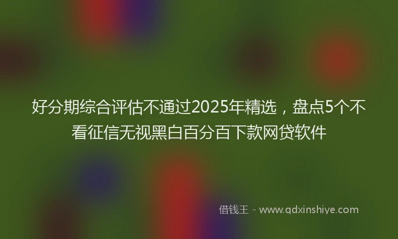 好分期综合评估不通过2025年精选，盘点5个不看征信无视黑白百分百下款网贷软件