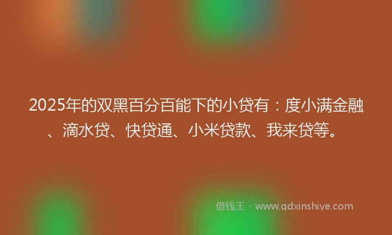 2025年的双黑百分百能下的小贷有：度小满金融、滴水贷、快贷通、小米贷款、我来贷等。