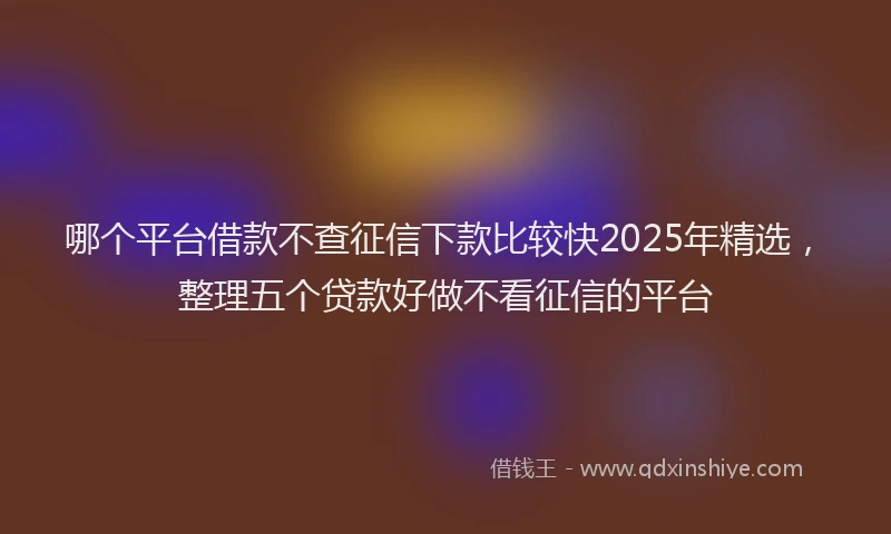 哪个平台借款不查征信下款比较快2025年精选，整理五个贷款好做不看征信的平台