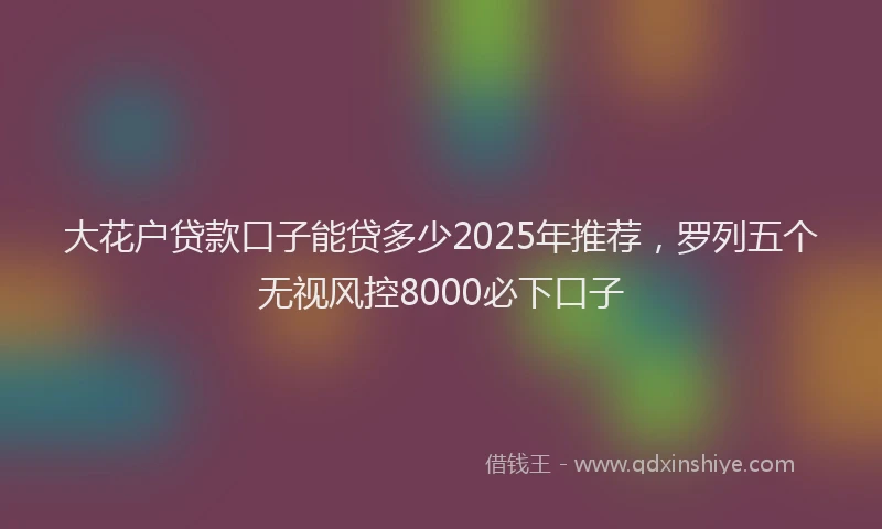 大花户贷款口子能贷多少2025年推荐，罗列五个无视风控8000必下口子