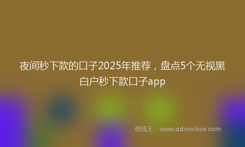 夜间秒下款的口子2025年推荐，盘点5个无视黑白户秒下款口子app