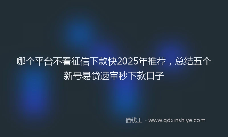 哪个平台不看征信下款快2025年推荐，总结五个新号易贷速审秒下款口子