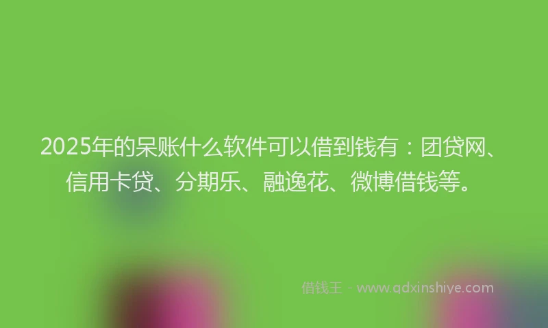 2025年的呆账什么软件可以借到钱有：团贷网、信用卡贷、分期乐、融逸花、微博借钱等。