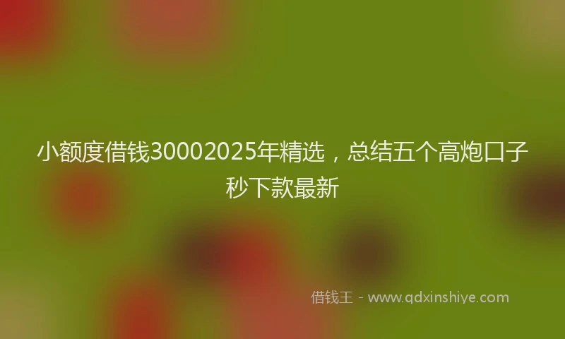 小额度借钱30002025年精选，总结五个高炮口子秒下款最新