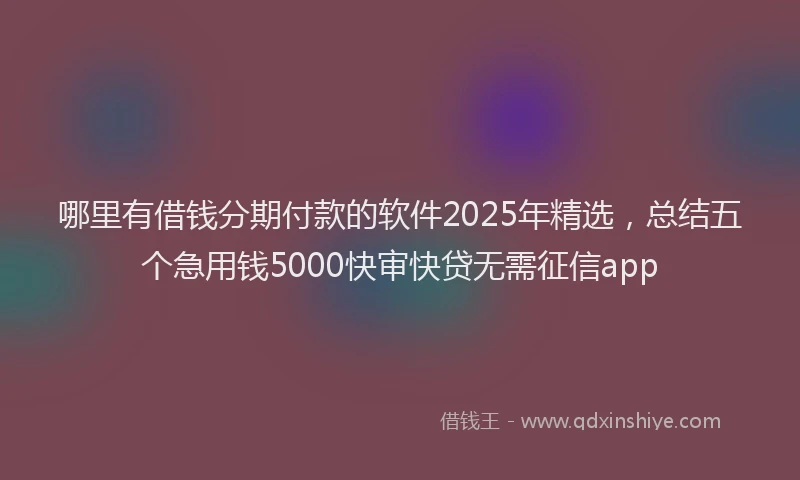 哪里有借钱分期付款的软件2025年精选，总结五个急用钱5000快审快贷无需征信app
