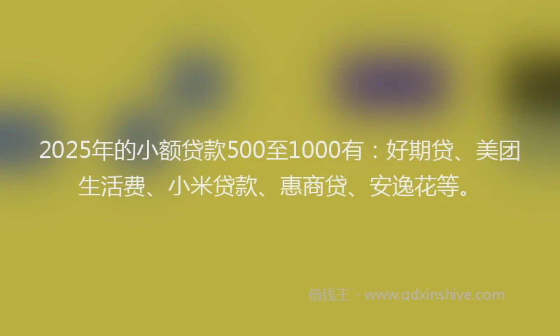 2025年的小额贷款500至1000有：好期贷、美团生活费、小米贷款、惠商贷、安逸花等。