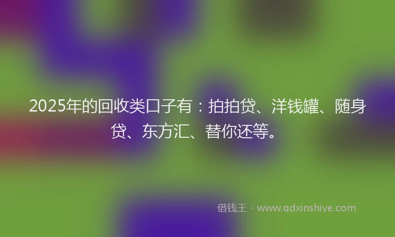 2025年的回收类口子有：拍拍贷、洋钱罐、随身贷、东方汇、替你还等。
