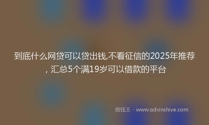 到底什么网贷可以贷出钱,不看征信的2025年推荐，汇总5个满19岁可以借款的平台