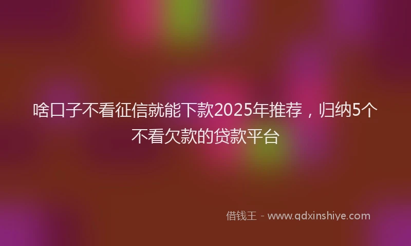 啥口子不看征信就能下款2025年推荐，归纳5个不看欠款的贷款平台