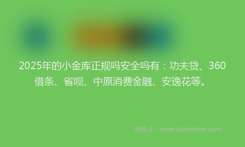 2025年的小金库正规吗安全吗有：功夫贷、360借条、省呗、中原消费金融、安逸花等。