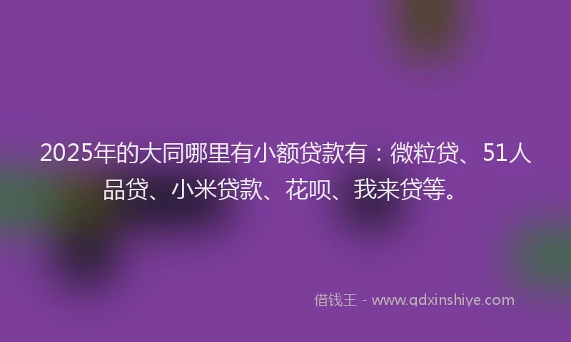 2025年的大同哪里有小额贷款有：微粒贷、51人品贷、小米贷款、花呗、我来贷等。