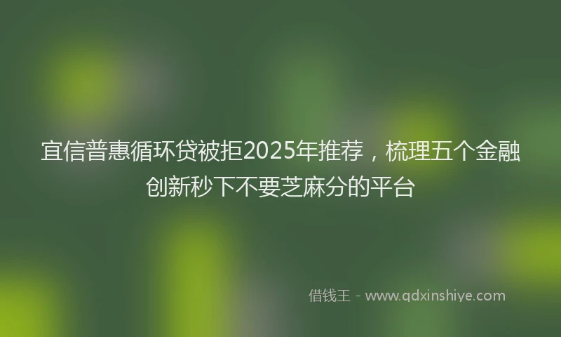 宜信普惠循环贷被拒2025年推荐，梳理五个金融创新秒下不要芝麻分的平台