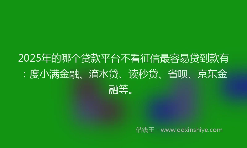 2025年的哪个贷款平台不看征信最容易贷到款有：度小满金融、滴水贷、读秒贷、省呗、京东金融等。