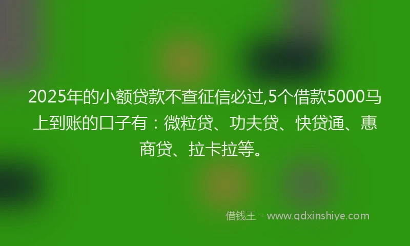 2025年的小额贷款不查征信必过,5个借款5000马上到账的口子有：微粒贷、功夫贷、快贷通、惠商贷、拉卡拉等。