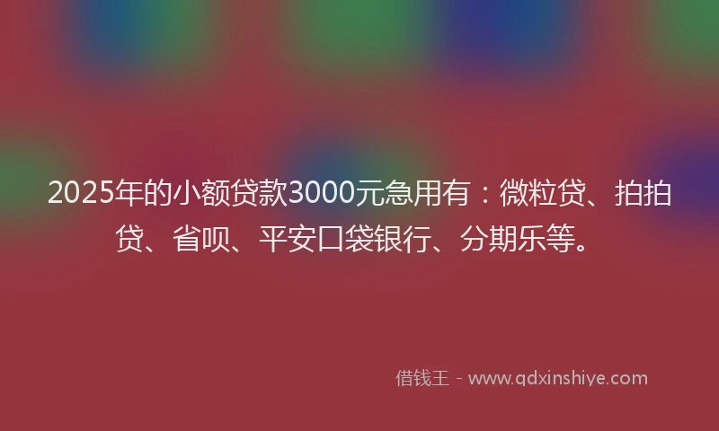 2025年的小额贷款3000元急用有：微粒贷、拍拍贷、省呗、平安口袋银行、分期乐等。