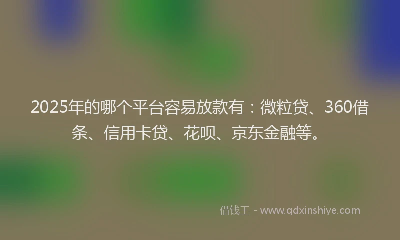 2025年的哪个平台容易放款有：微粒贷、360借条、信用卡贷、花呗、京东金融等。