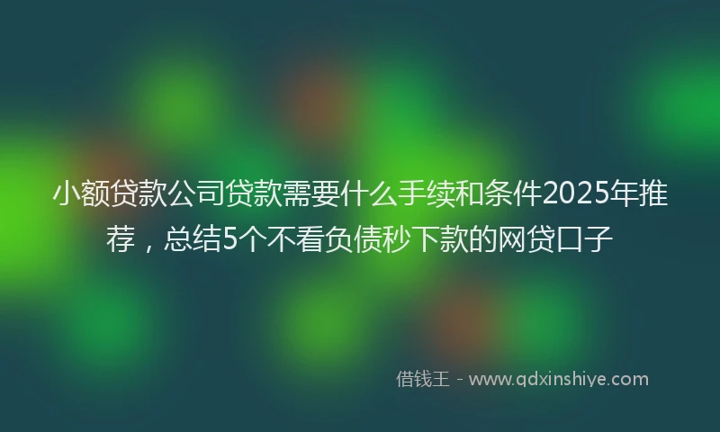 小额贷款公司贷款需要什么手续和条件2025年推荐，总结5个不看负债秒下款的网贷口子