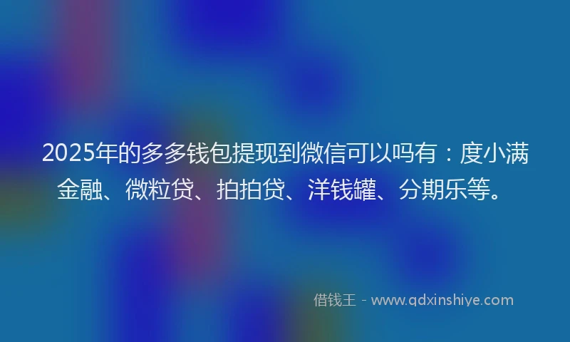 2025年的多多钱包提现到微信可以吗有：度小满金融、微粒贷、拍拍贷、洋钱罐、分期乐等。