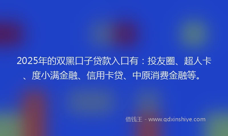 2025年的双黑口子贷款入口有：投友圈、超人卡、度小满金融、信用卡贷、中原消费金融等。