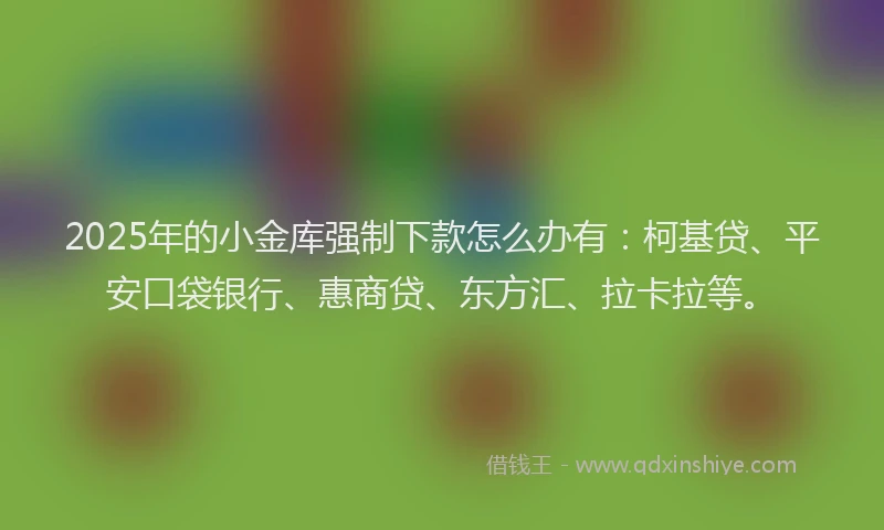 2025年的小金库强制下款怎么办有：柯基贷、平安口袋银行、惠商贷、东方汇、拉卡拉等。