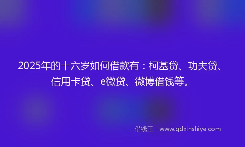 2025年的十六岁如何借款有：柯基贷、功夫贷、信用卡贷、e微贷、微博借钱等。