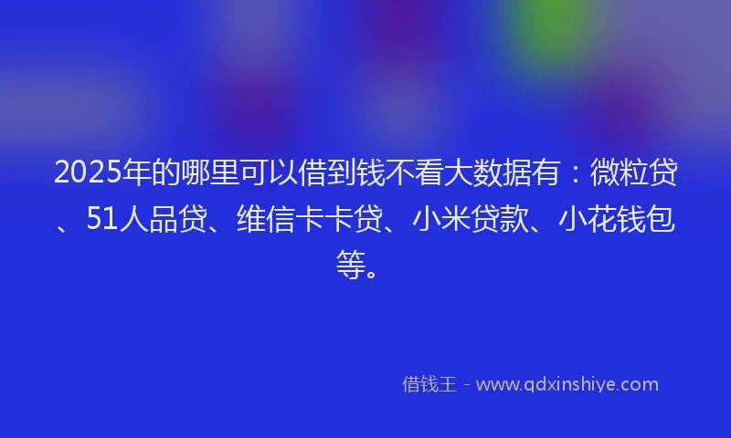 2025年的哪里可以借到钱不看大数据有：微粒贷、51人品贷、维信卡卡贷、小米贷款、小花钱包等。