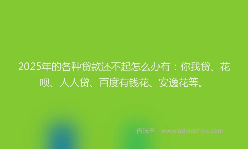 2025年的各种贷款还不起怎么办有：你我贷、花呗、人人贷、百度有钱花、安逸花等。