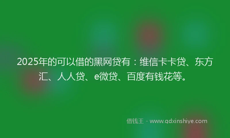 2025年的可以借的黑网贷有：维信卡卡贷、东方汇、人人贷、e微贷、百度有钱花等。