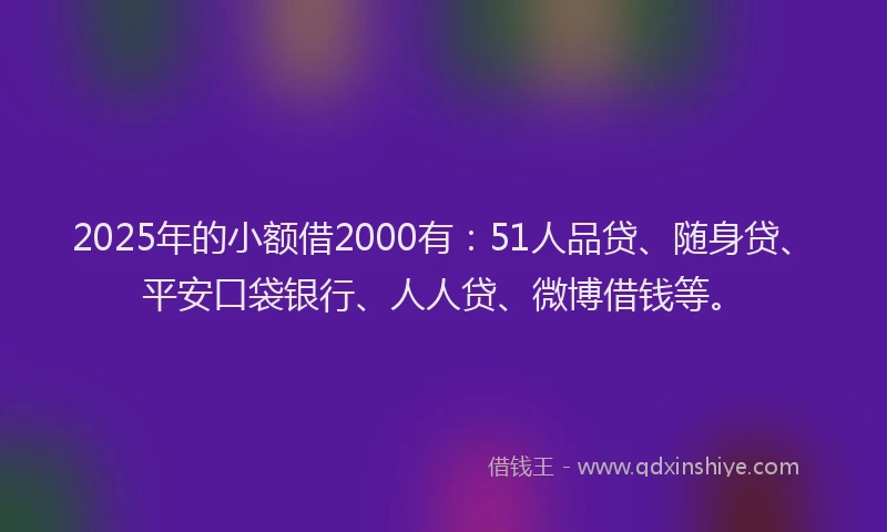 2025年的小额借2000有：51人品贷、随身贷、平安口袋银行、人人贷、微博借钱等。