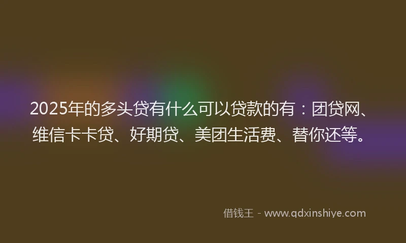 2025年的多头贷有什么可以贷款的有：团贷网、维信卡卡贷、好期贷、美团生活费、替你还等。