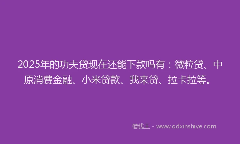 2025年的功夫贷现在还能下款吗有：微粒贷、中原消费金融、小米贷款、我来贷、拉卡拉等。