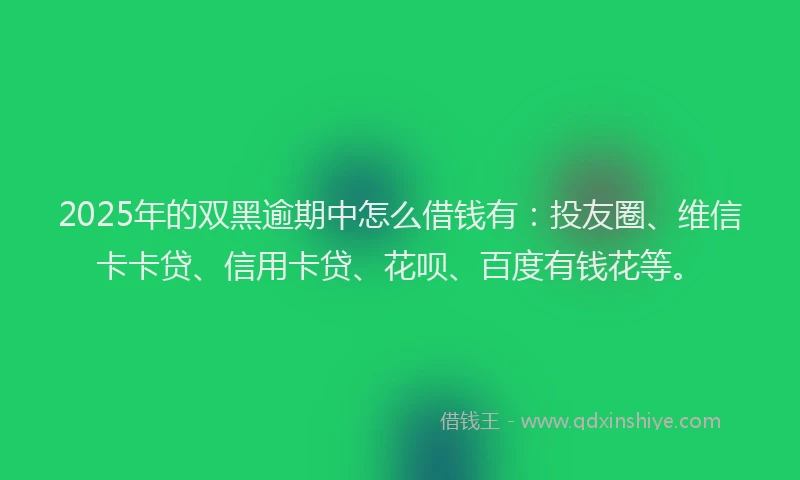2025年的双黑逾期中怎么借钱有：投友圈、维信卡卡贷、信用卡贷、花呗、百度有钱花等。