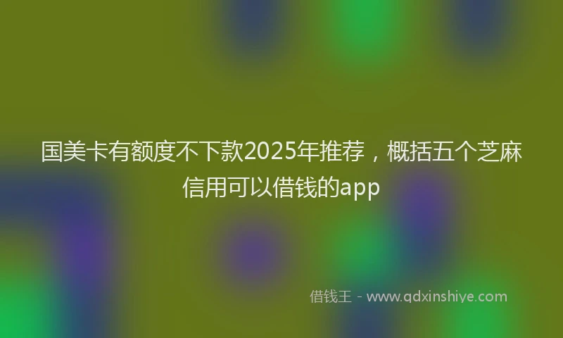 国美卡有额度不下款2025年推荐，概括五个芝麻信用可以借钱的app