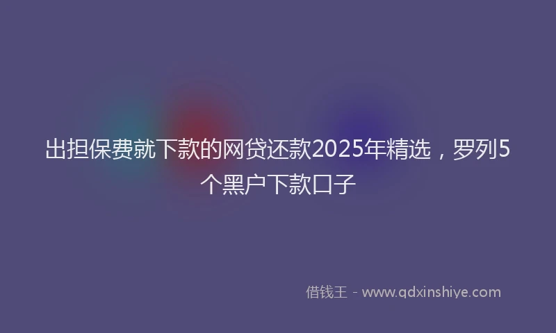 出担保费就下款的网贷还款2025年精选，罗列5个黑户下款口子
