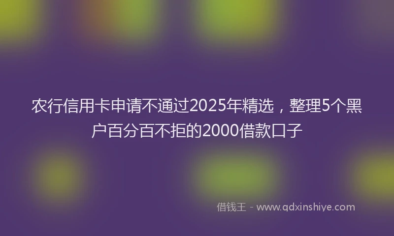 农行信用卡申请不通过2025年精选，整理5个黑户百分百不拒的2000借款口子