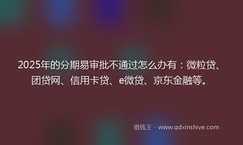 2025年的分期易审批不通过怎么办有：微粒贷、团贷网、信用卡贷、e微贷、京东金融等。