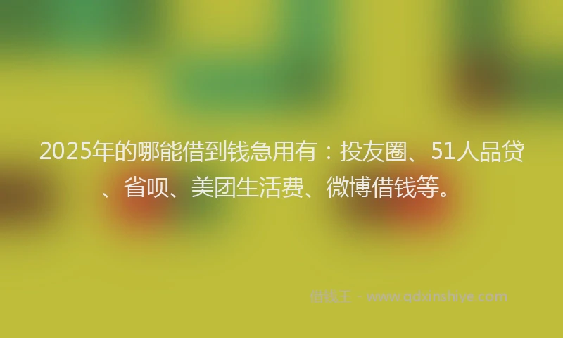 2025年的哪能借到钱急用有：投友圈、51人品贷、省呗、美团生活费、微博借钱等。