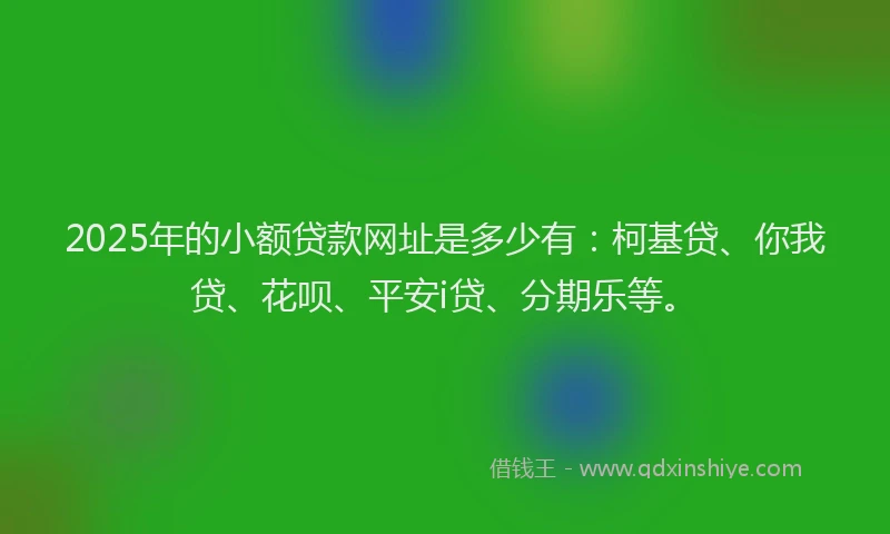 2025年的小额贷款网址是多少有：柯基贷、你我贷、花呗、平安i贷、分期乐等。