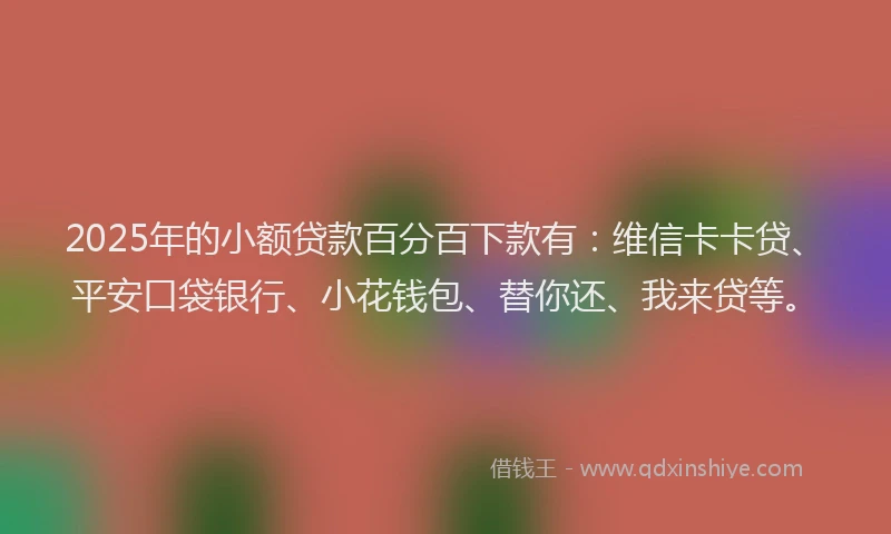 2025年的小额贷款百分百下款有：维信卡卡贷、平安口袋银行、小花钱包、替你还、我来贷等。