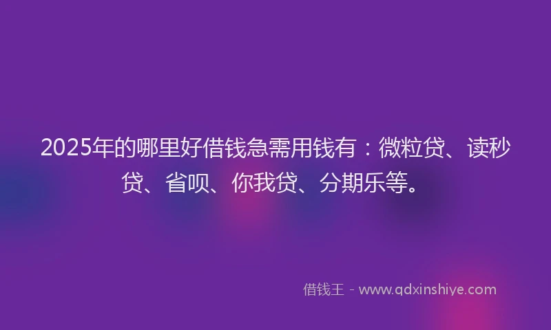 2025年的哪里好借钱急需用钱有：微粒贷、读秒贷、省呗、你我贷、分期乐等。