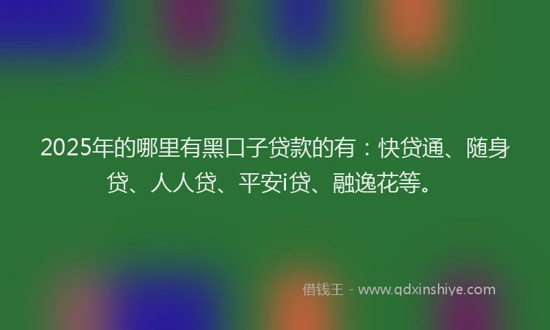 2025年的哪里有黑口子贷款的有：快贷通、随身贷、人人贷、平安i贷、融逸花等。