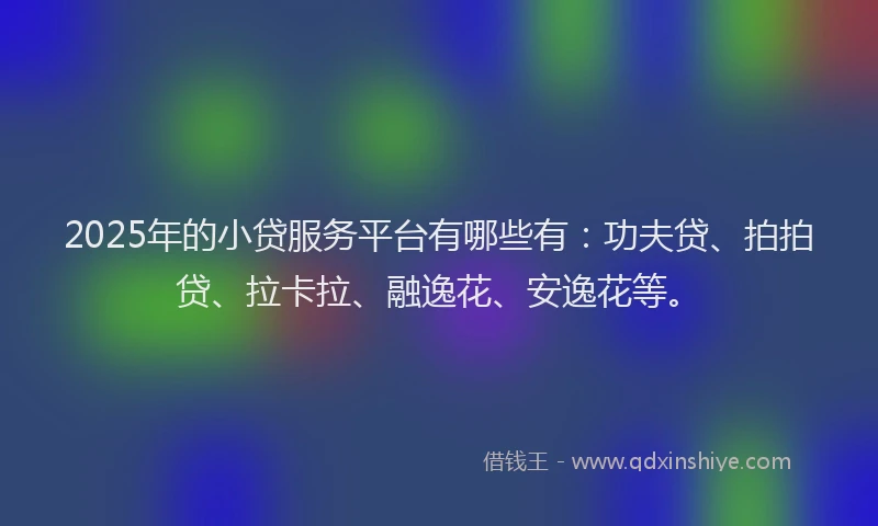 2025年的小贷服务平台有哪些有：功夫贷、拍拍贷、拉卡拉、融逸花、安逸花等。