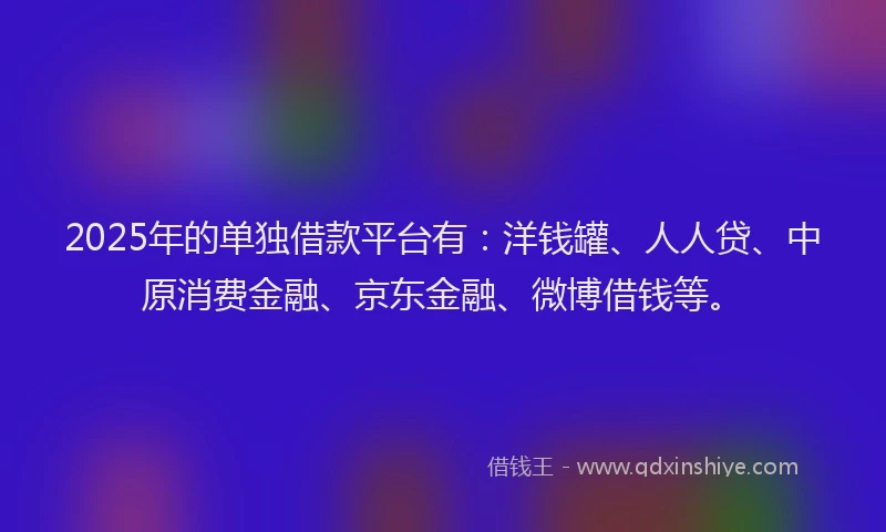 2025年的单独借款平台有：洋钱罐、人人贷、中原消费金融、京东金融、微博借钱等。