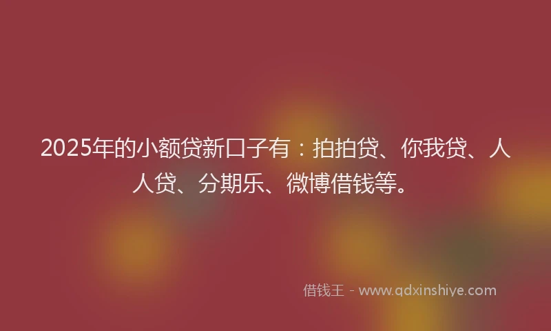 2025年的小额贷新口子有：拍拍贷、你我贷、人人贷、分期乐、微博借钱等。