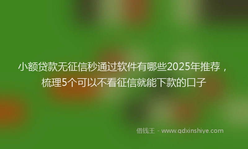 小额贷款无征信秒通过软件有哪些2025年推荐，梳理5个可以不看征信就能下款的口子